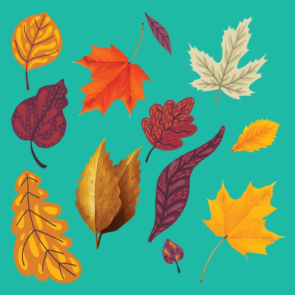 Collection of Different Autumn Leaves vector