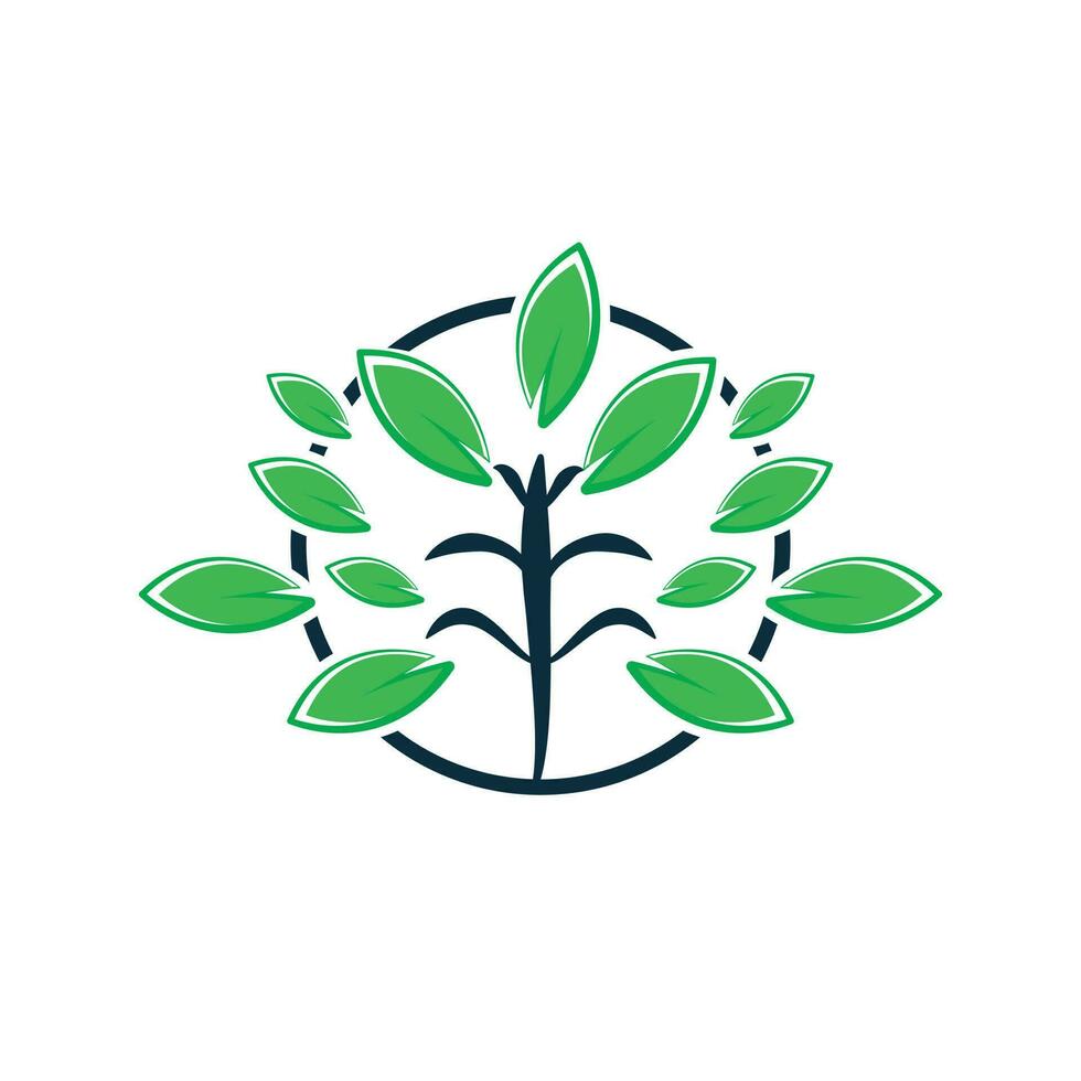 Green tree with leaves logo. Tree Vector illustration isolated on white background, abstract tree logo vector.