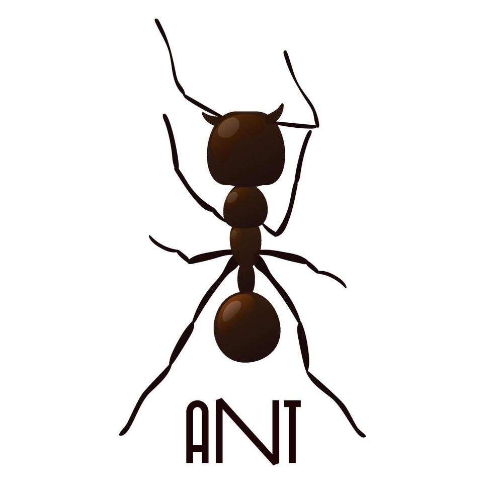 Black ant. Vector illustration.