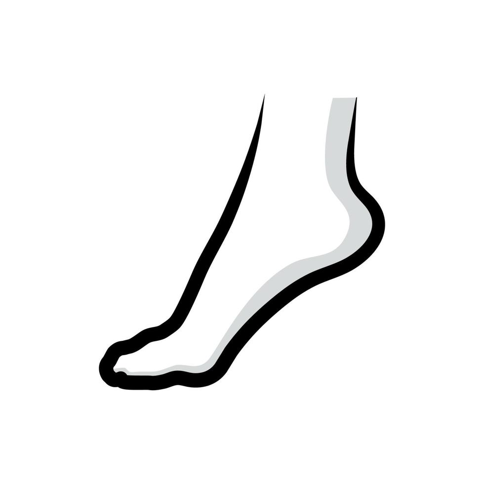 Human foot illustration. Foot vector line art.