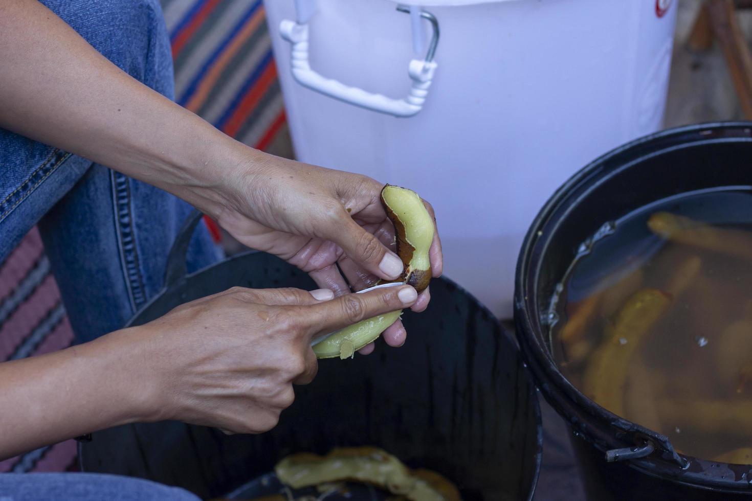 Hand of women holding paring knife for peeled tamarind prepare to be food processing into pickled tamarind. photo