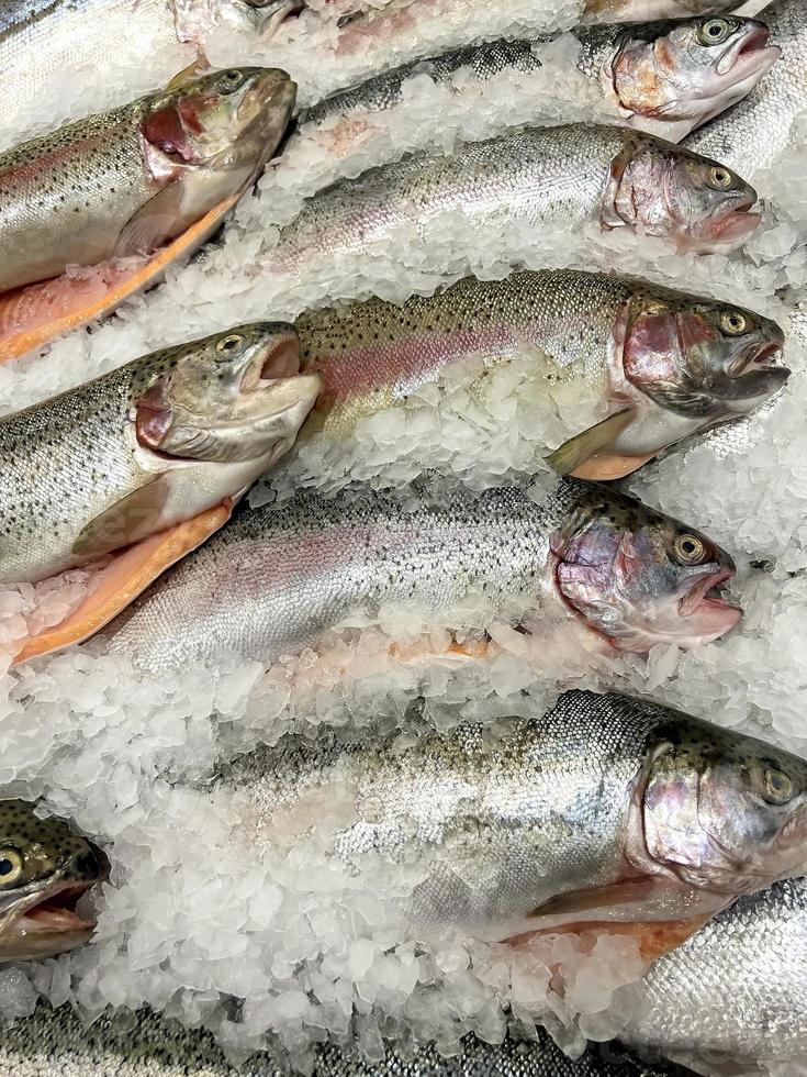 Fresh rainbow trout on the counter in the store photo