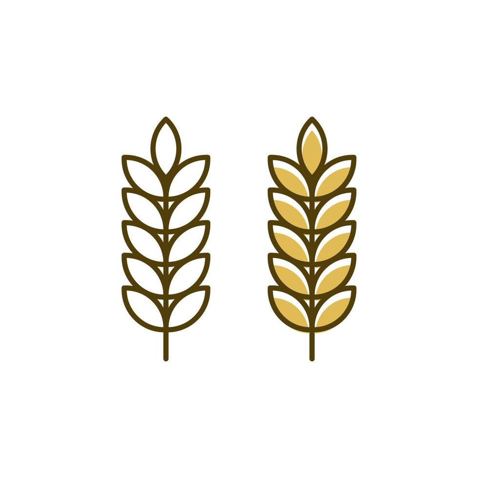 Agriculture wheat rice vector icon design