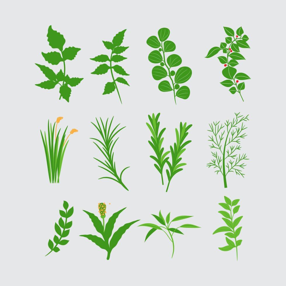 Herbal health green plant vector collection