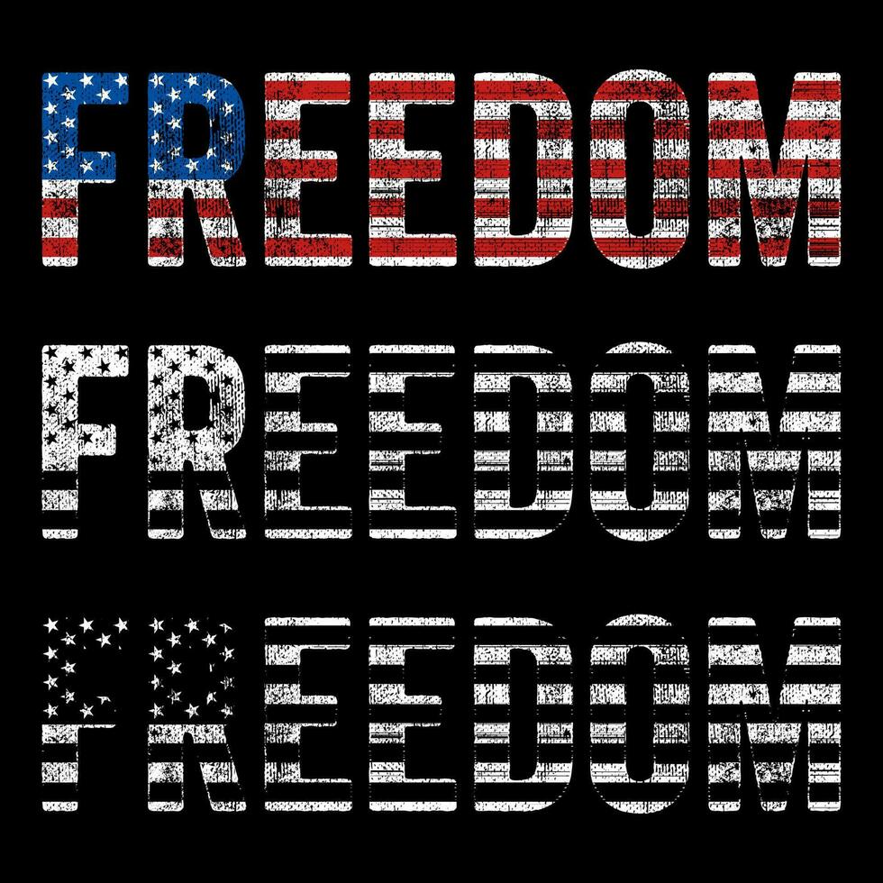 USA flag freedom vector design