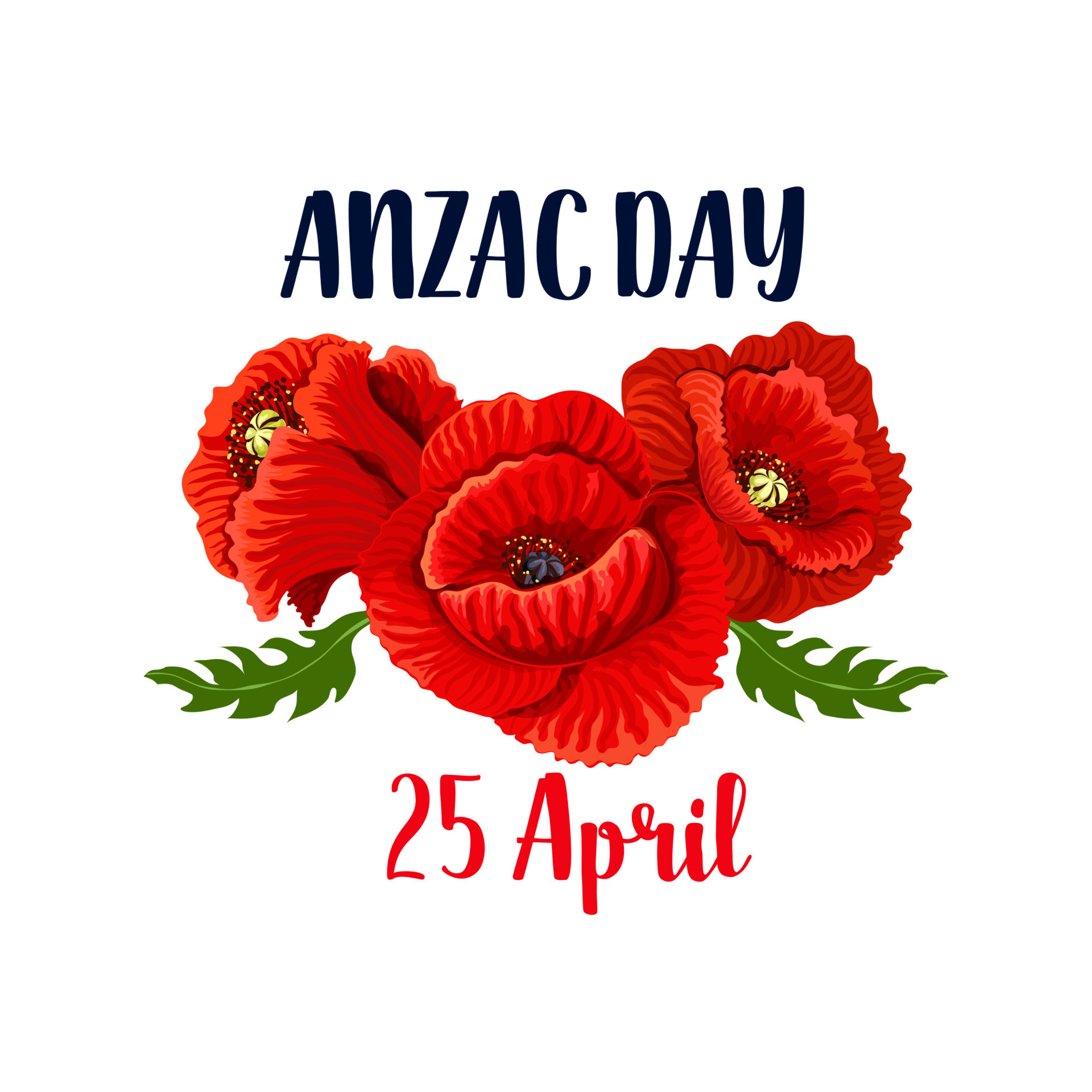 día de anzac amapola vector 25 de abril icono australiano 13005965
