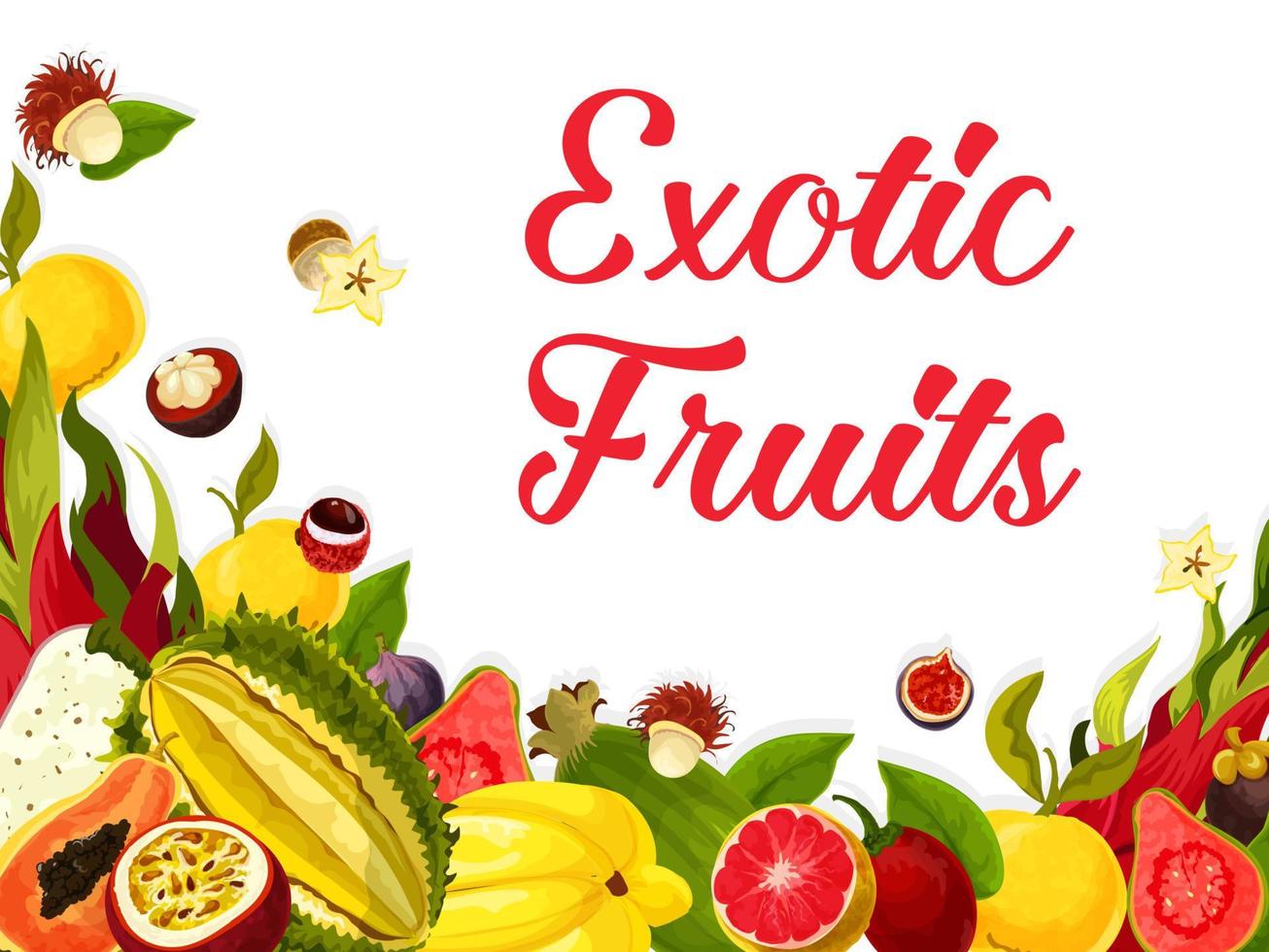 cartel de frutas tropicales frescas exóticas de vector