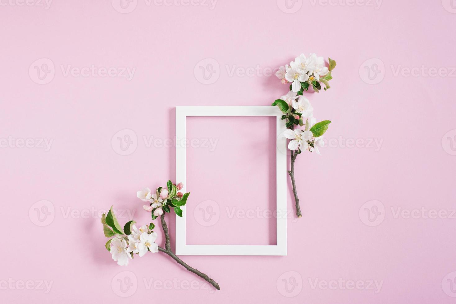 White blank frame with copy space lies on a pink background surrounded by blossoming branches of an apple tree. Spring Announcement Concept photo