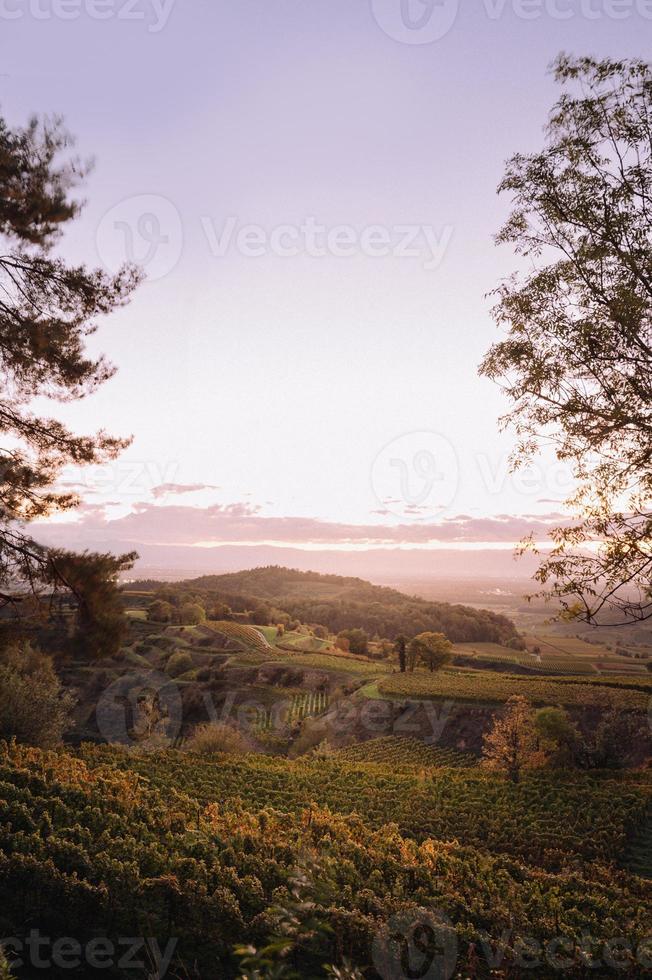 Agricultural land at sunset photo