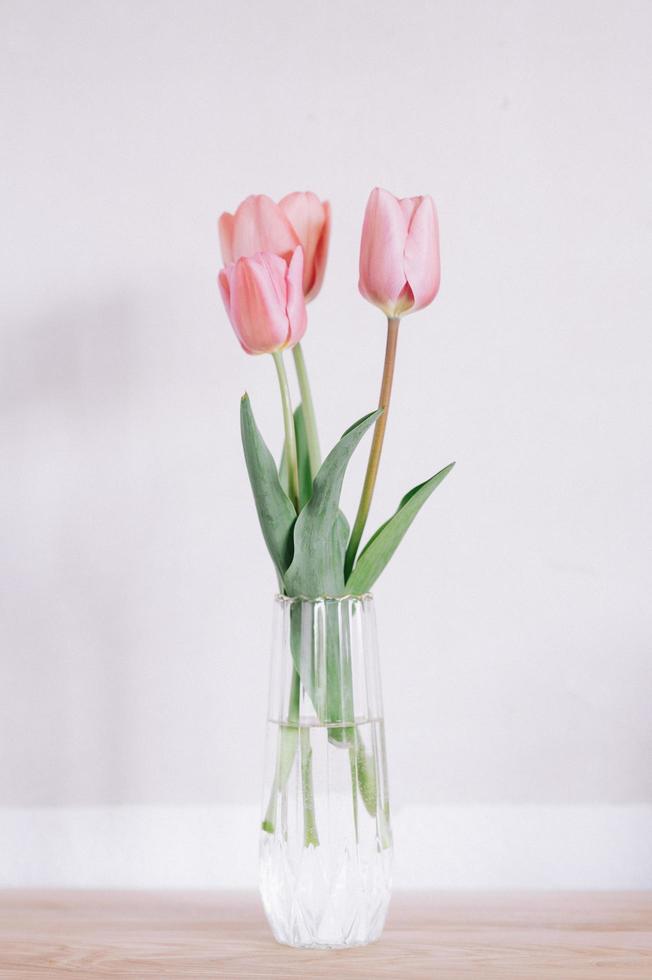 Tulips in vase against light background photo