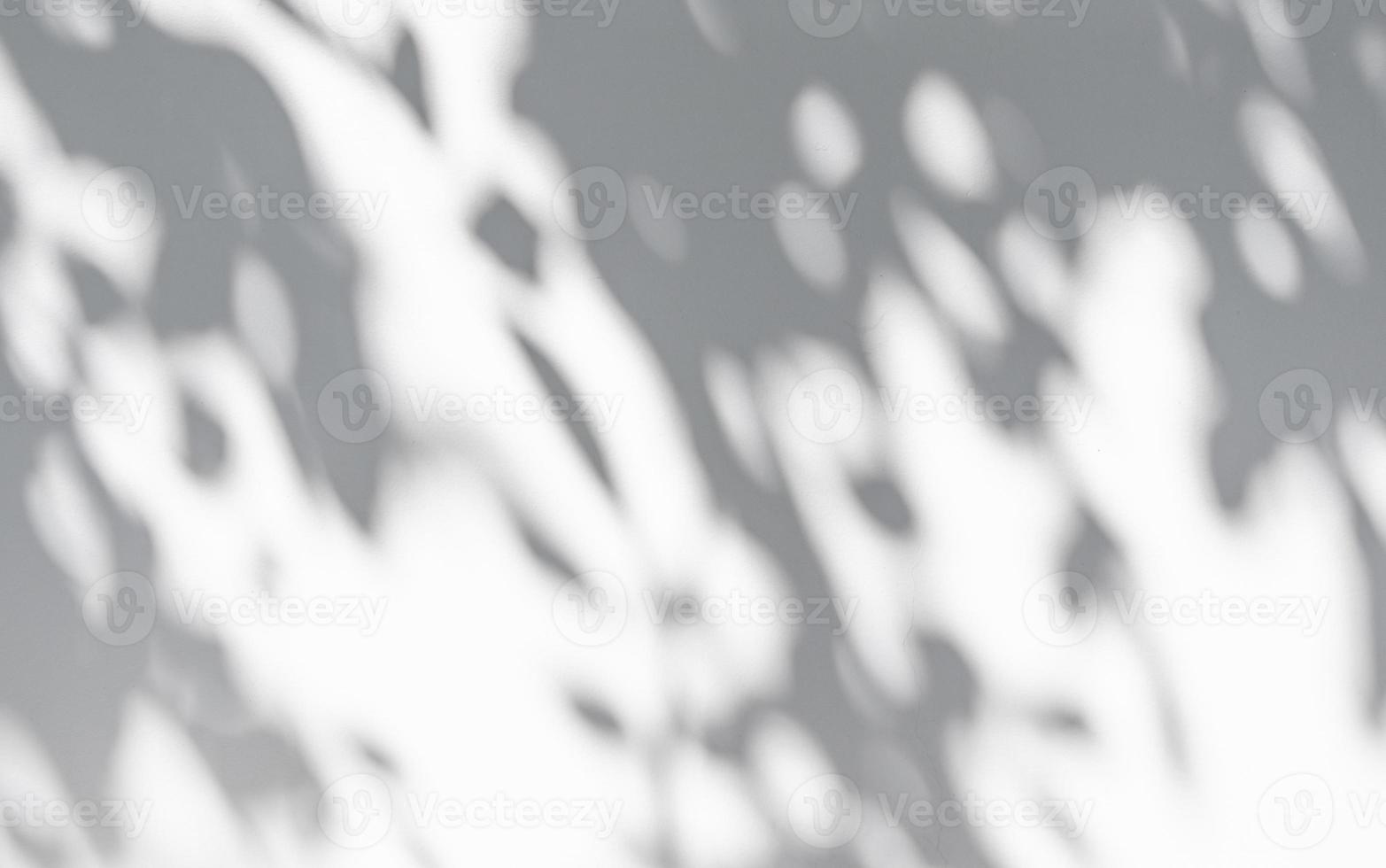 Abstract natural tree leaves shadow on white wall background photo