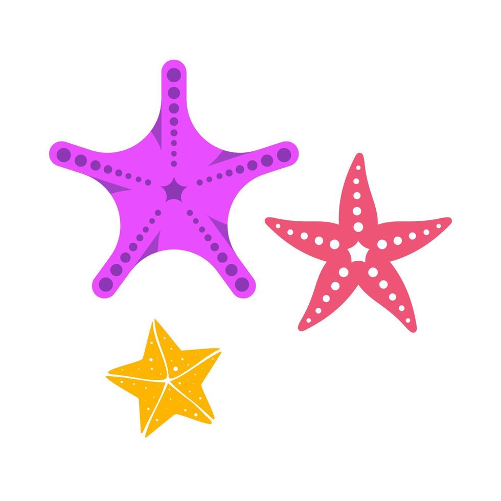 Sea Star fish icon Template vector