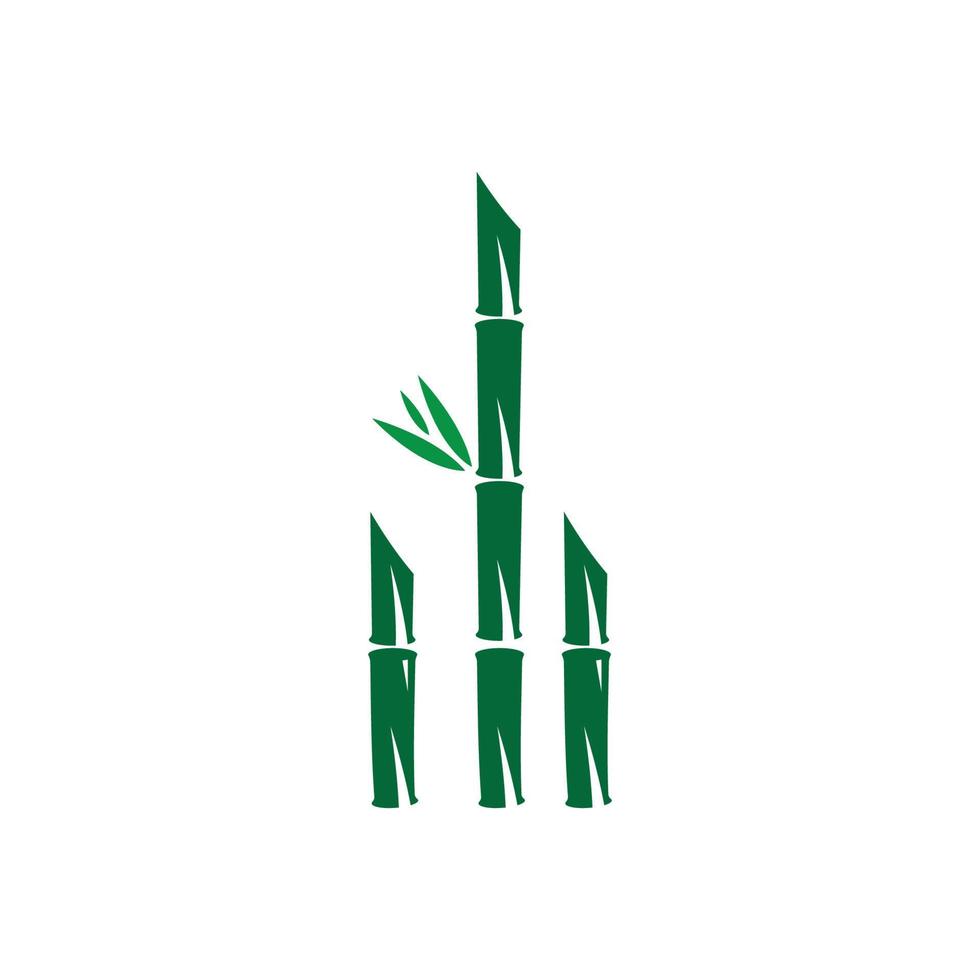 Bamboo with green leaf vector