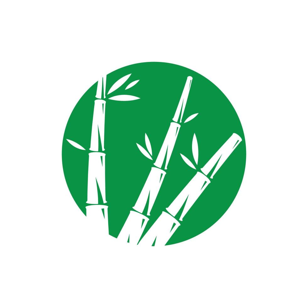 Bamboo with green leaf vector