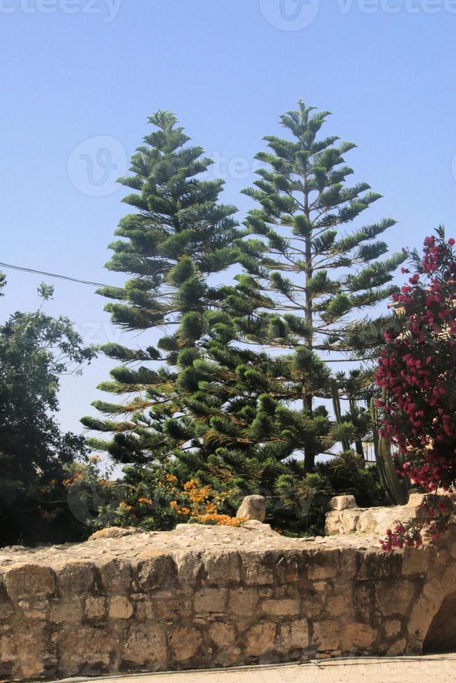 A view of the Church of Transfiguration in Israel photo