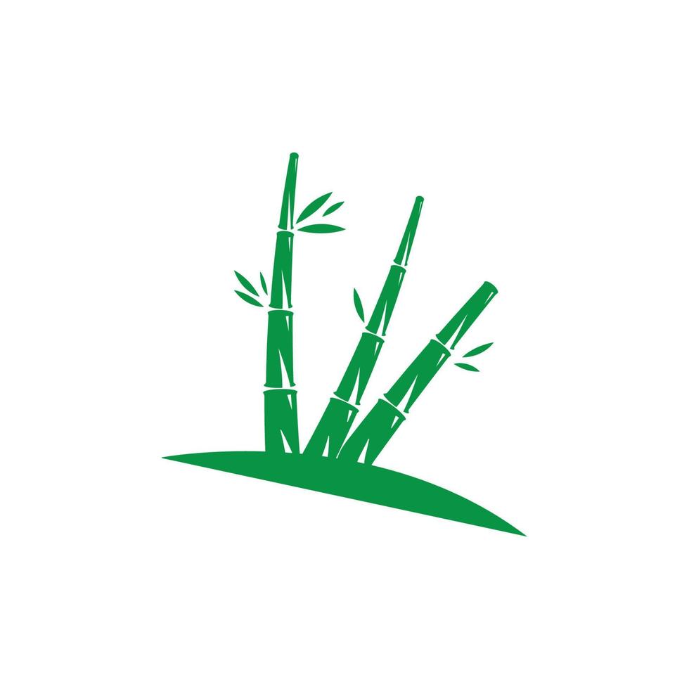 Bamboo with green leaf vector