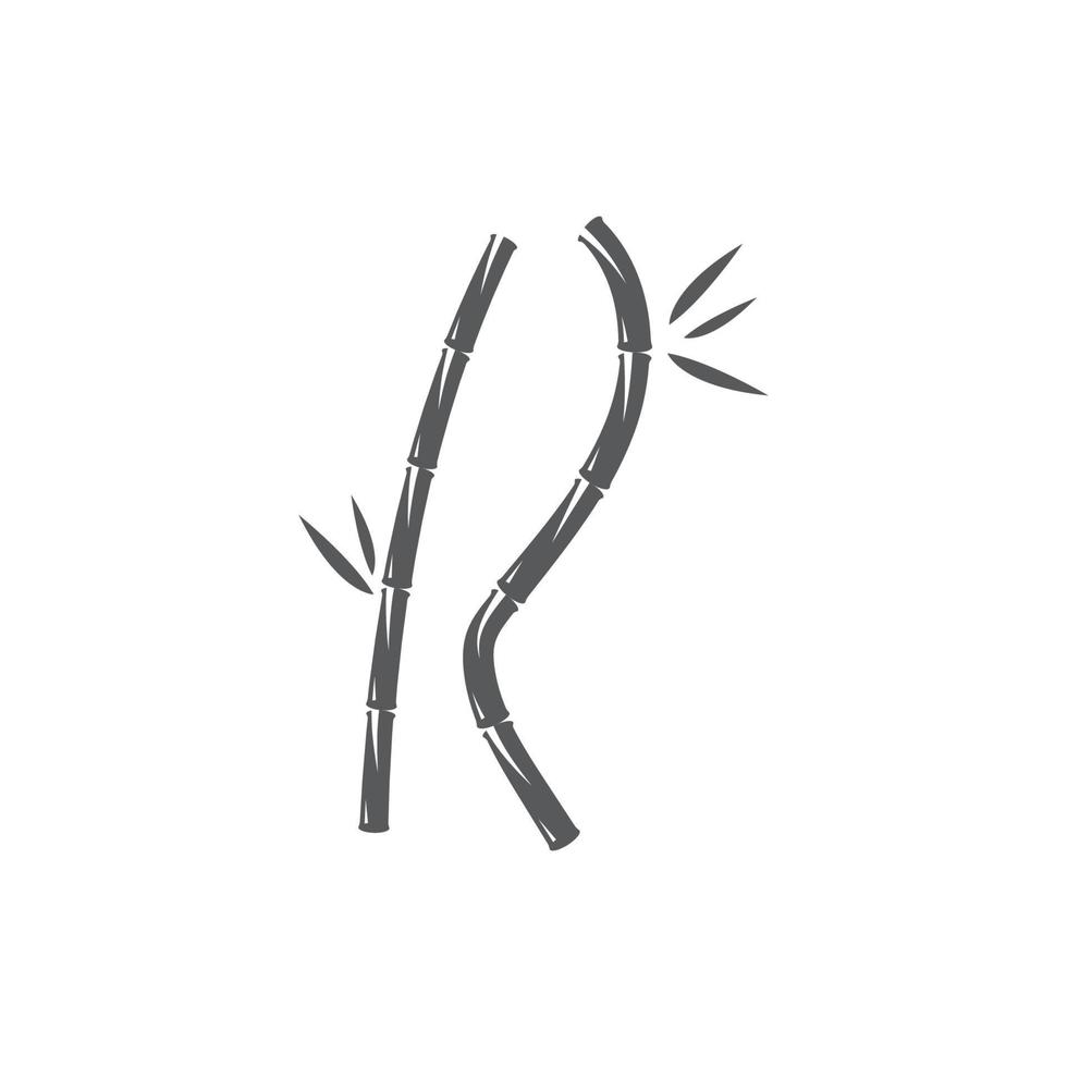 Bamboo with green leaf vector
