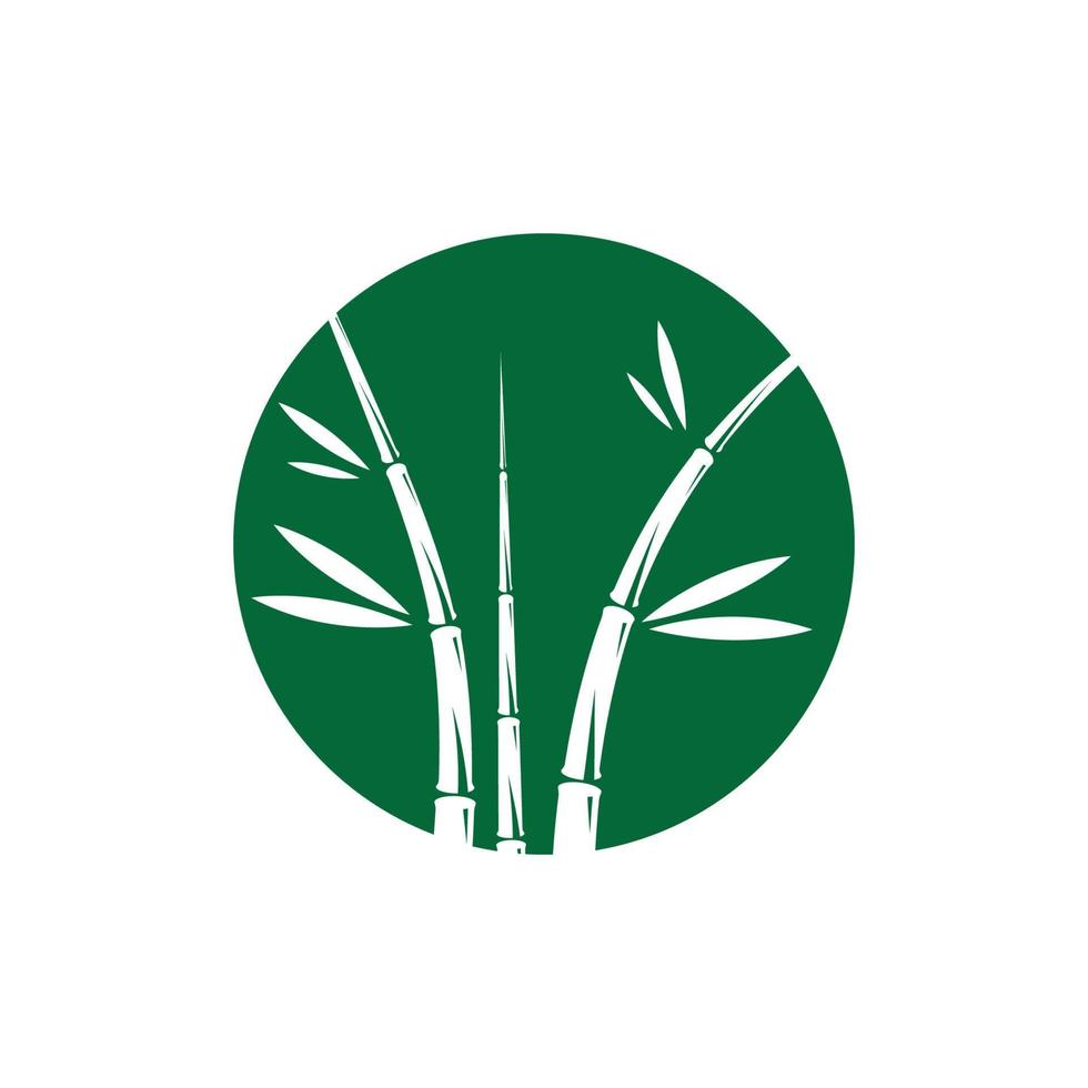 bambú con hoja verde vector