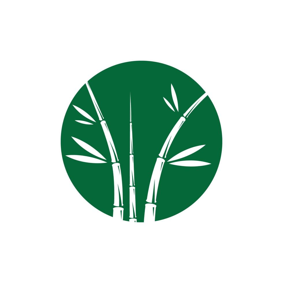 Bamboo with green leaf vector