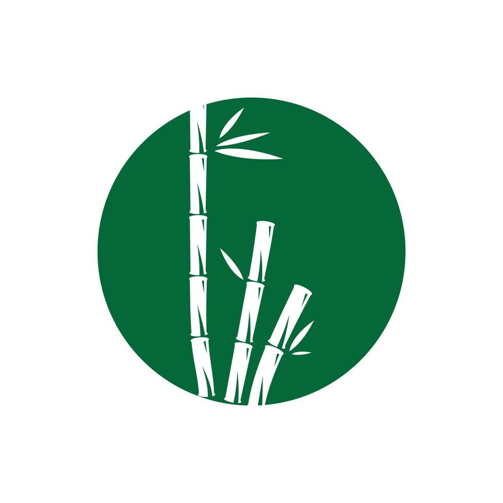 Bamboo with green leaf vector