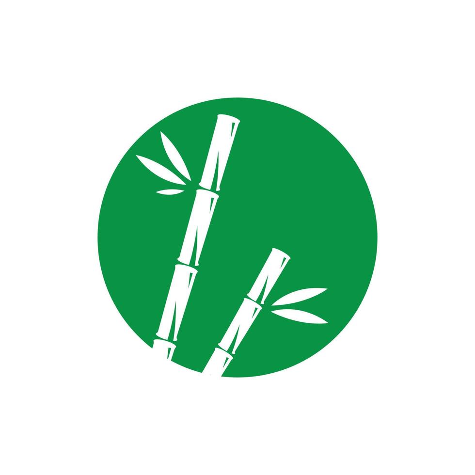 Bamboo with green leaf vector