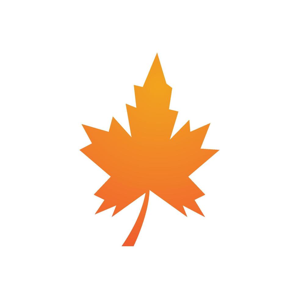 autumn leaf icon vector