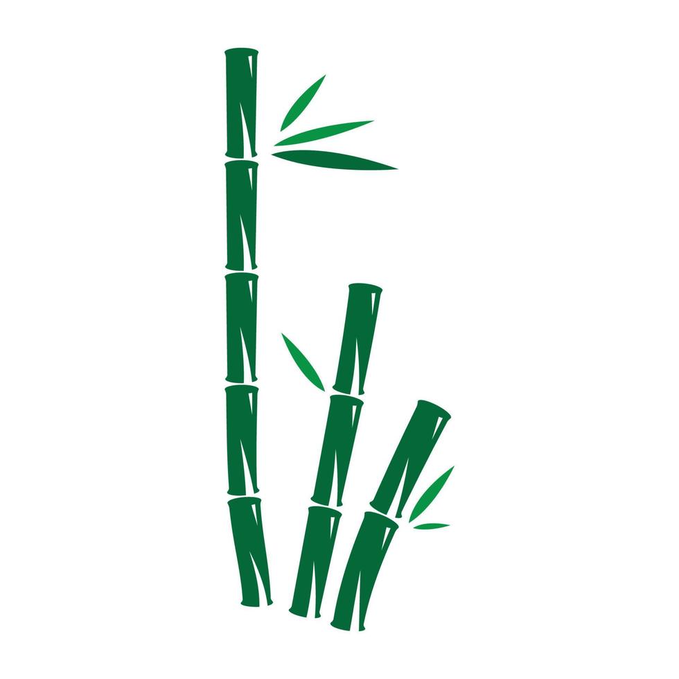 Bamboo with green leaf vector