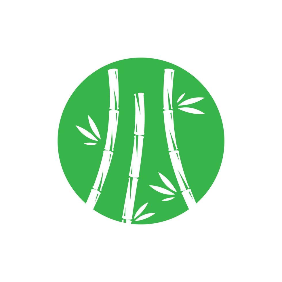 Bamboo with green leaf vector