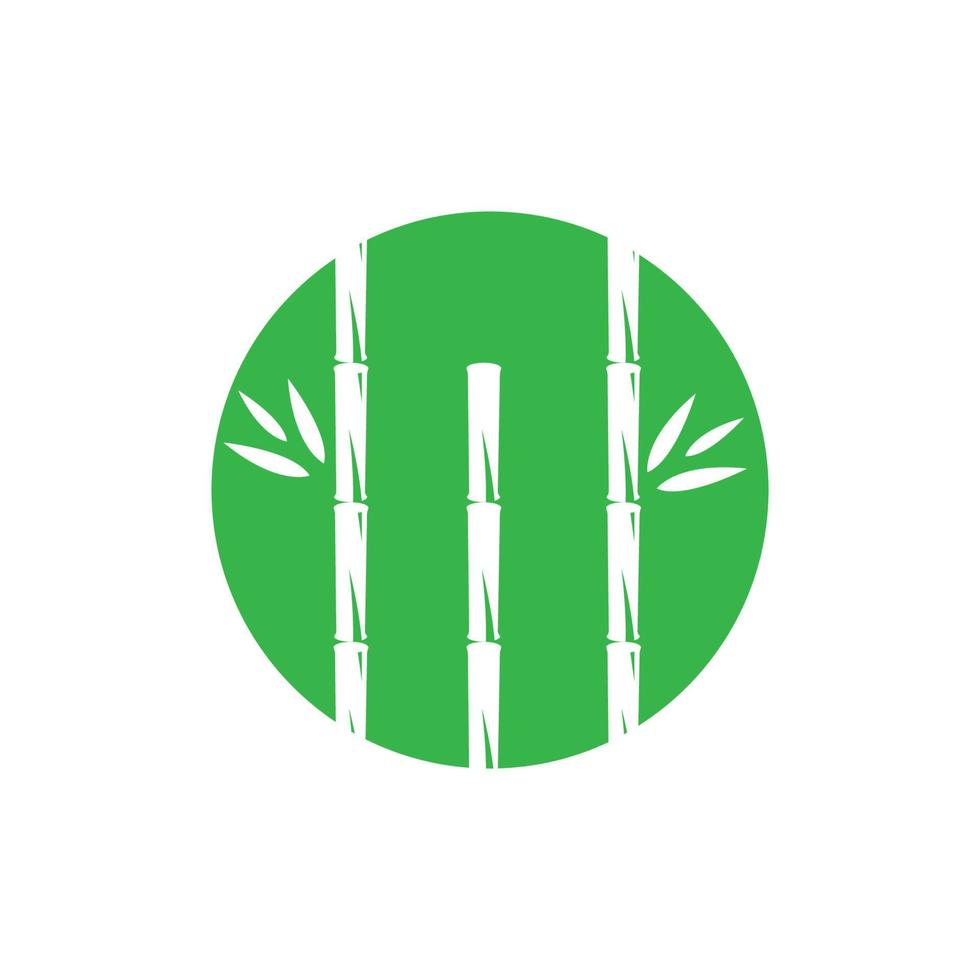 Bamboo with green leaf vector