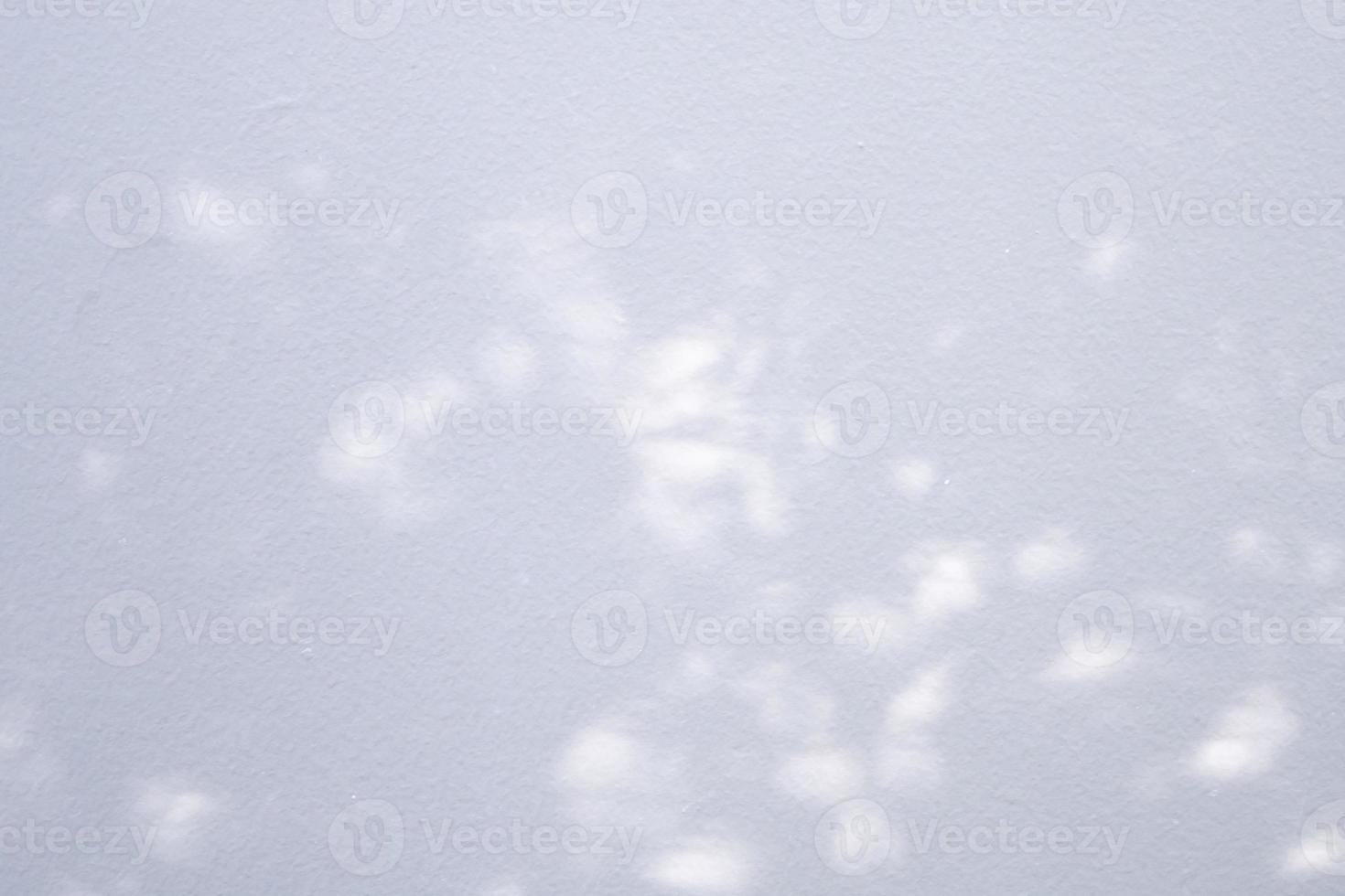 Abstract natural tree leaves shadow on white wall background photo