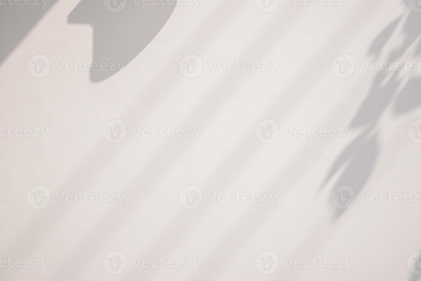 Abstract natural tree leaves on white wall background photo