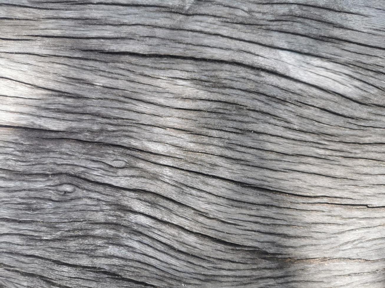 textura de grano de madera vieja, insertar texto foto