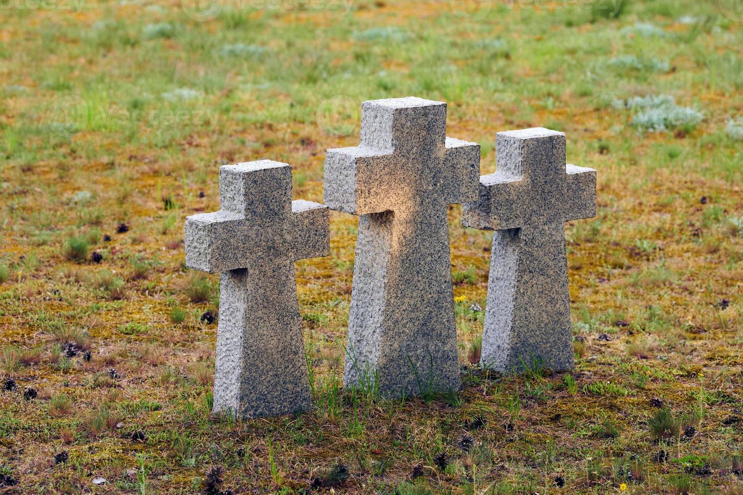 Stone crosses in German military cemetery, Russia, Europe photo