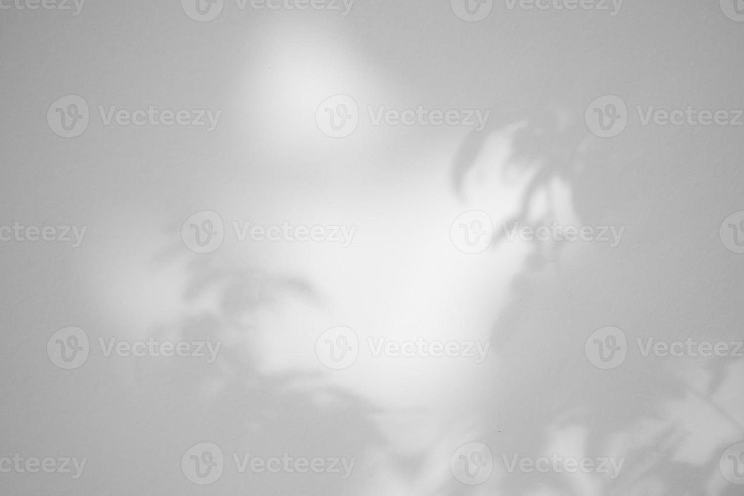 Leaves shadow on concrete wall background photo
