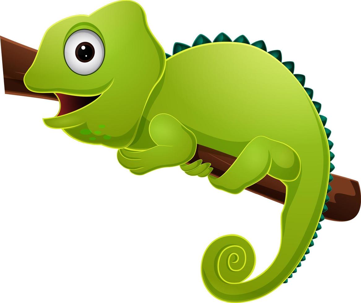 Cute green chameleon on tree branch vector