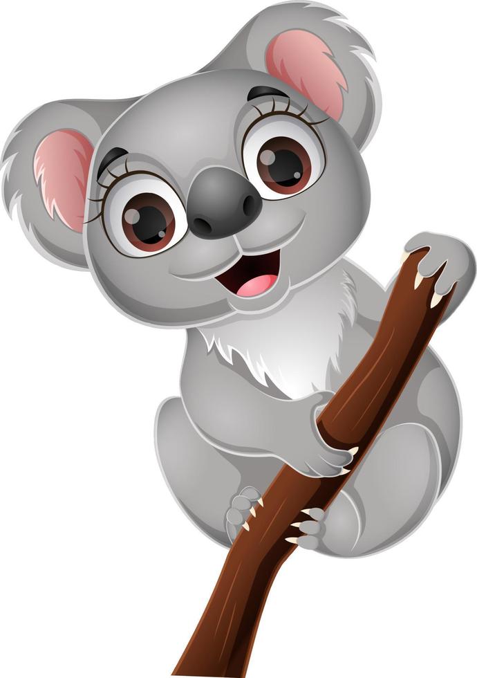 Cute koala on a tree branch vector