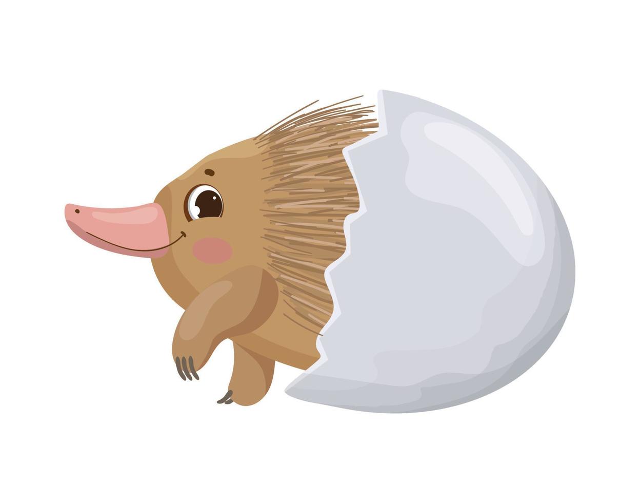 Anteater in egg vector