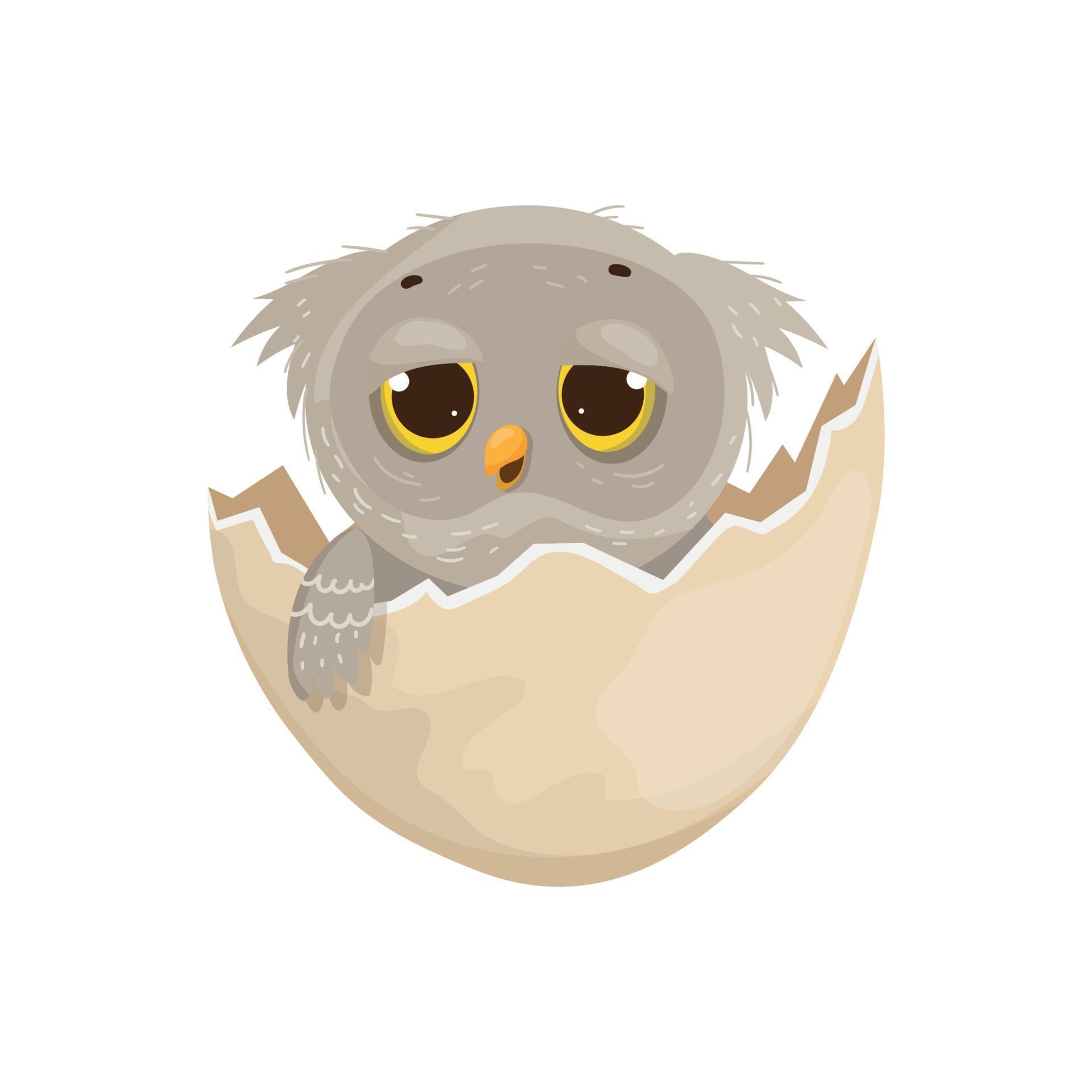 Owl in egg 13018150 Vector Art at Vecteezy