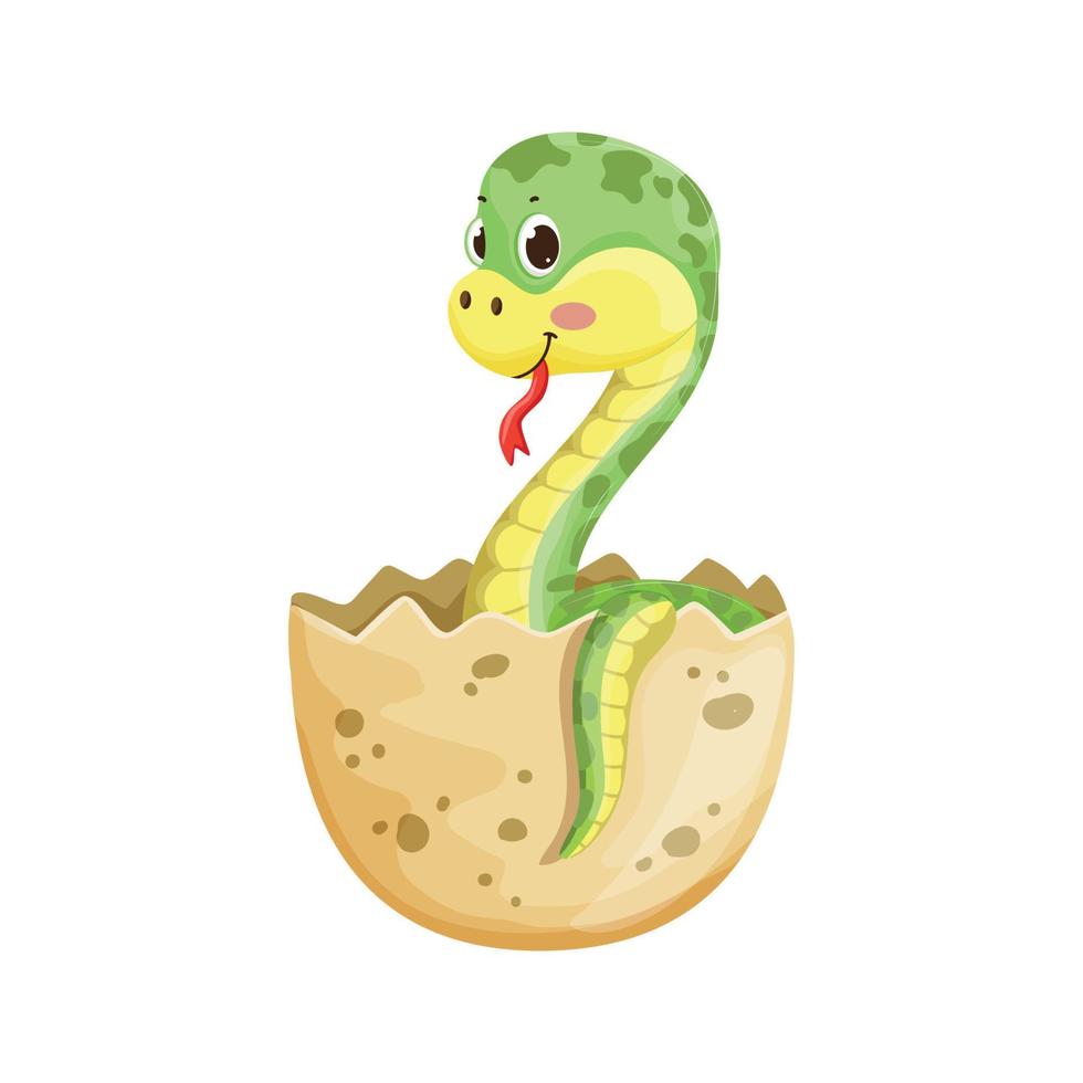 Snake in egg 13018211 Vector Art at Vecteezy