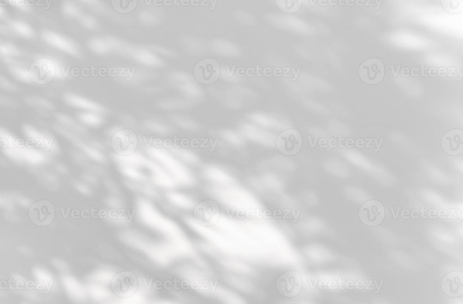 Abstract natural tree leaves shadow on white wall background photo