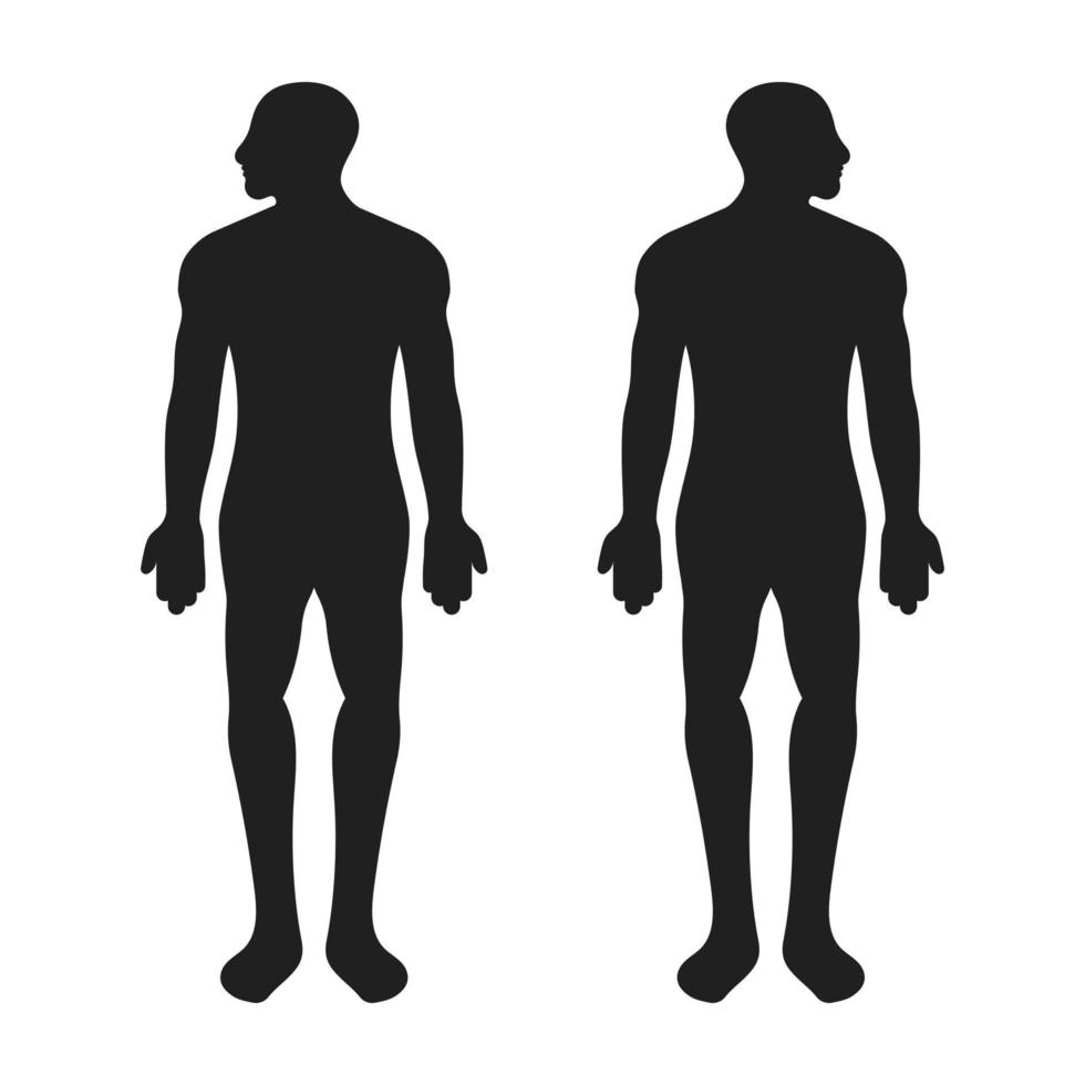 icono de vector plano de cuerpo humano masculino o masculino adulto para aplicaciones o sitios web