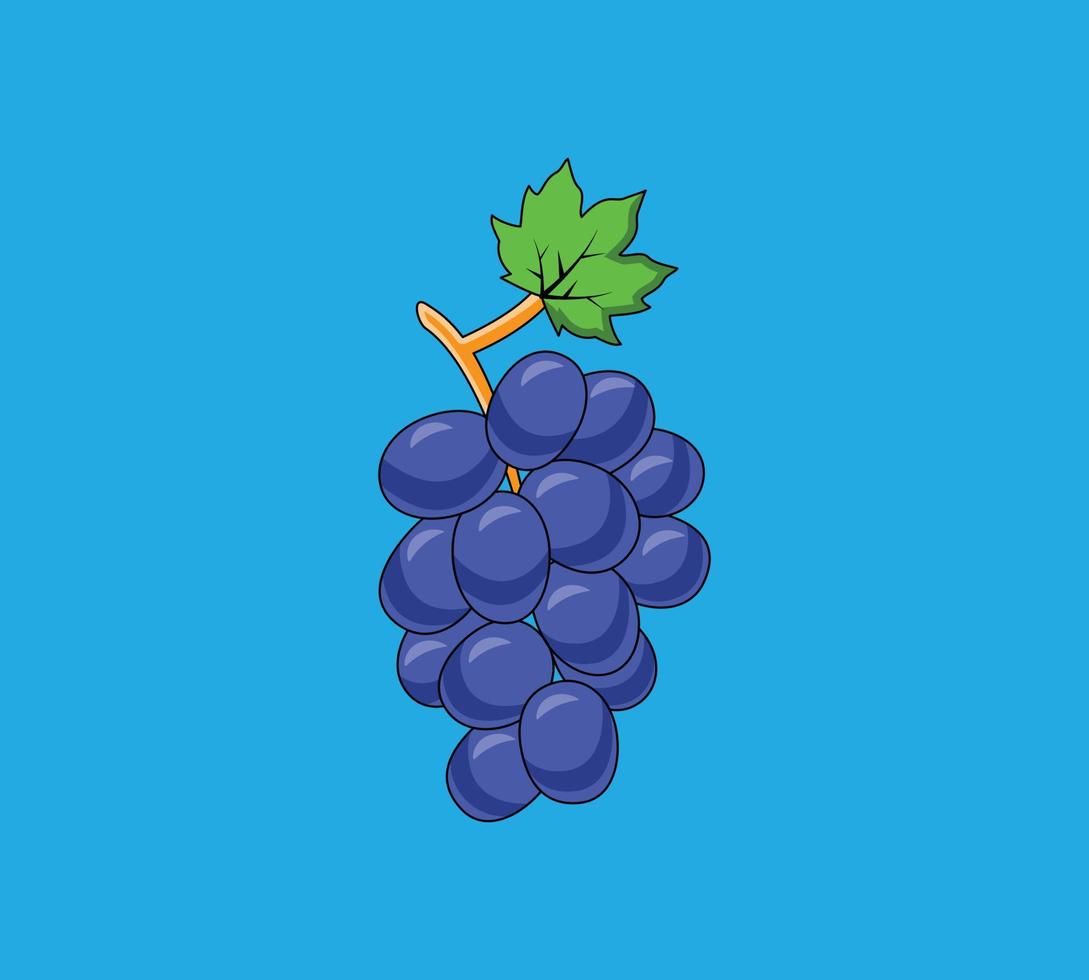 Purple grapes vector illustration. A bunch of grapes fruit. Beautiful grapes with green leaf design.