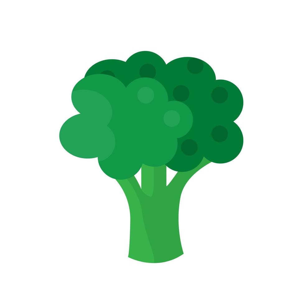 broccoli vegetable icon over white background vector