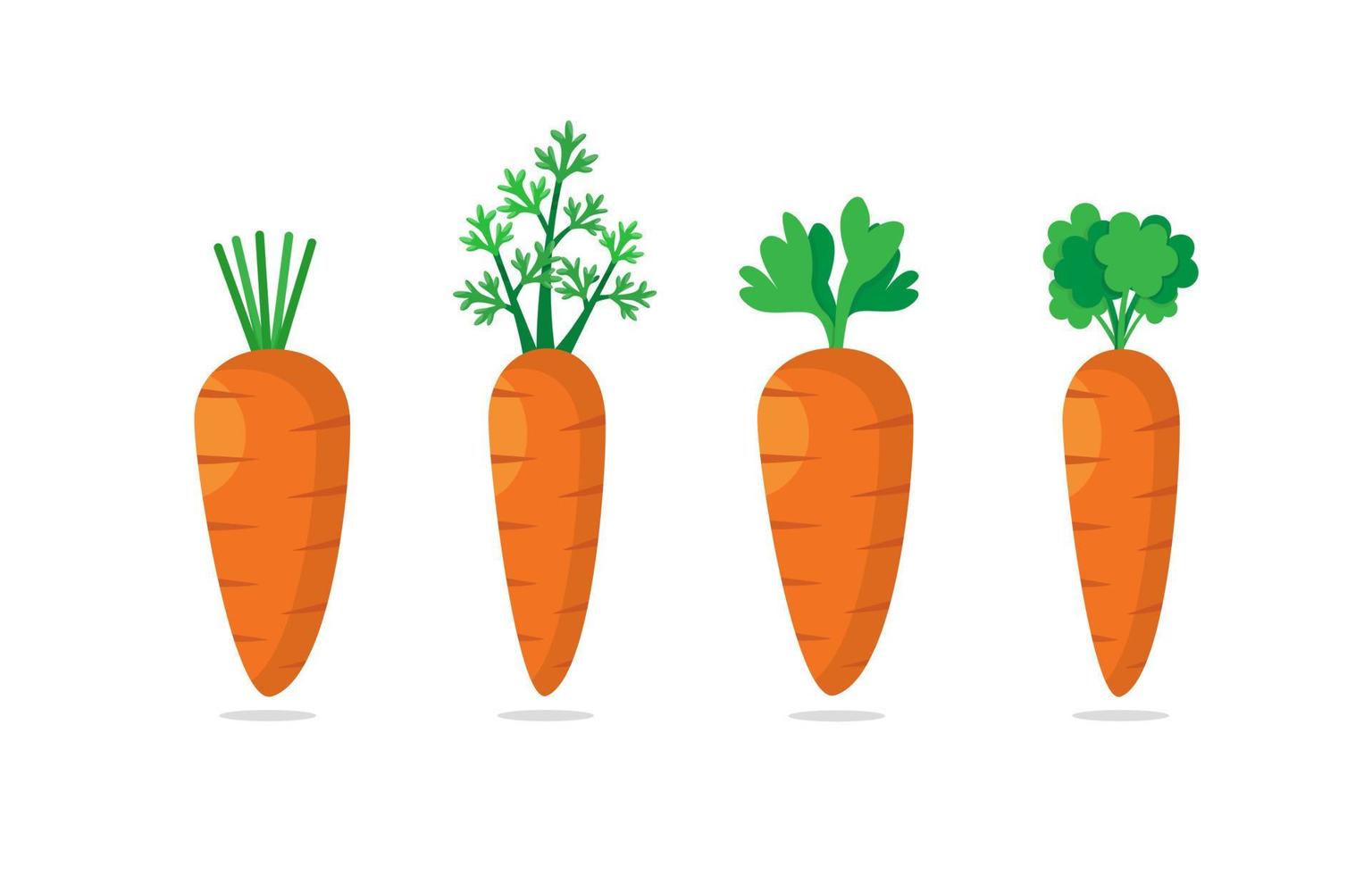 conjunto de cuatro zanahorias con hojas verdes. verdura dulce vector