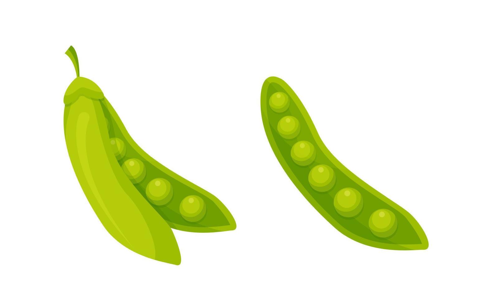 conjunto de dos guisantes verdes aislados en la ilustración de vector de fondo blanco