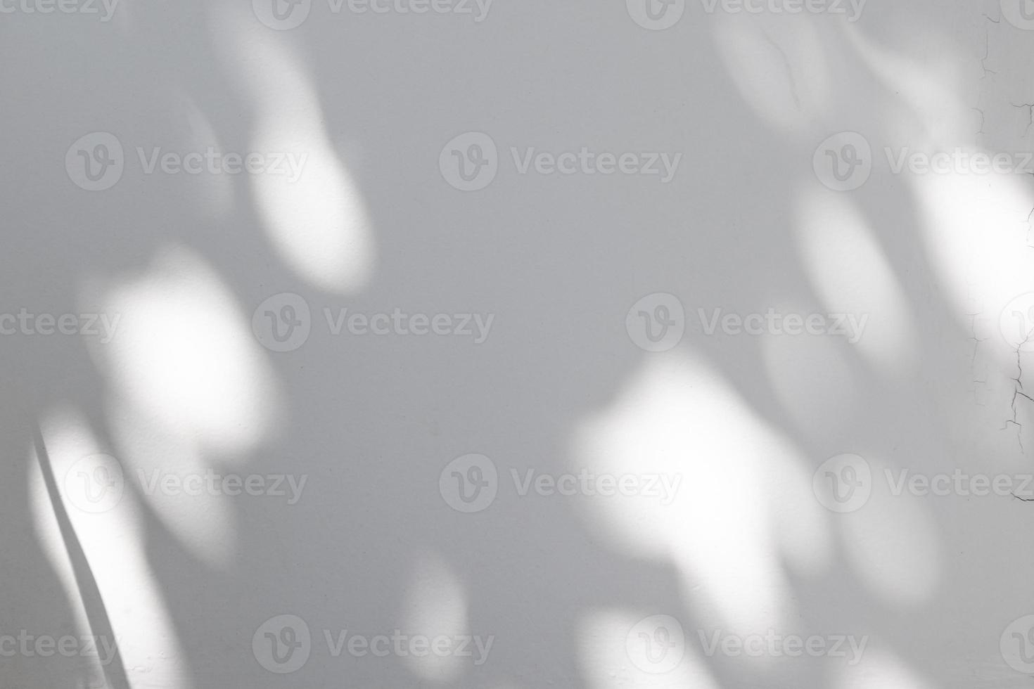 Abstract natural tree leaves shadow on white wall background photo