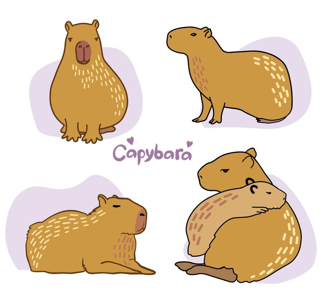 Set of cute Capybara. Vector color illustration of capybara. Drawing of an animal in cartoon style.