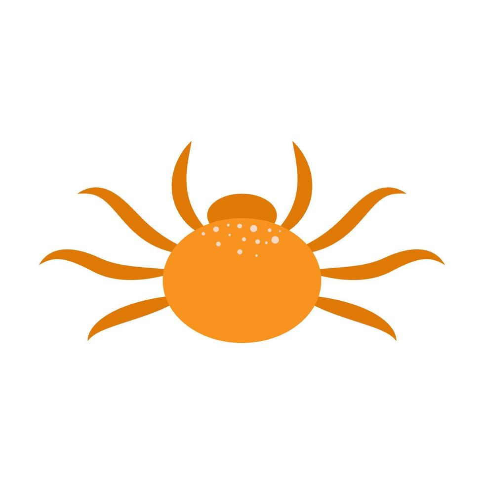 Simple illustration of a spider on a white background. vector illustration