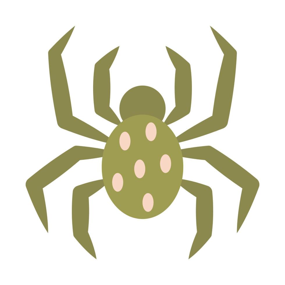 Simple illustration of a spider on a white background. vector illustration