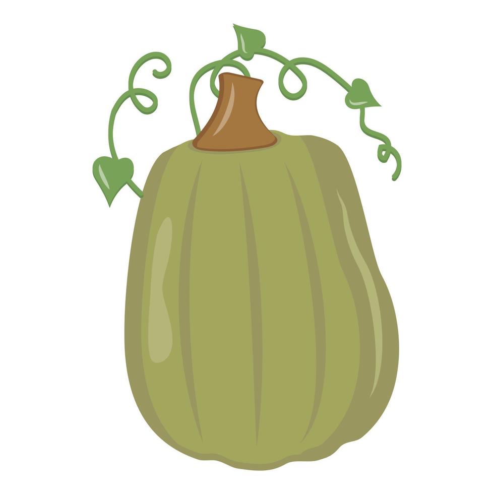 calabaza vegetal de otoño, icono de ilustración aislada de vector de color